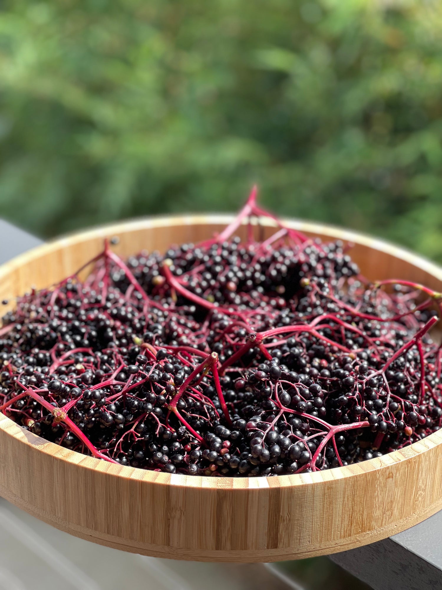 Elderberries dried, certified organic 250g
