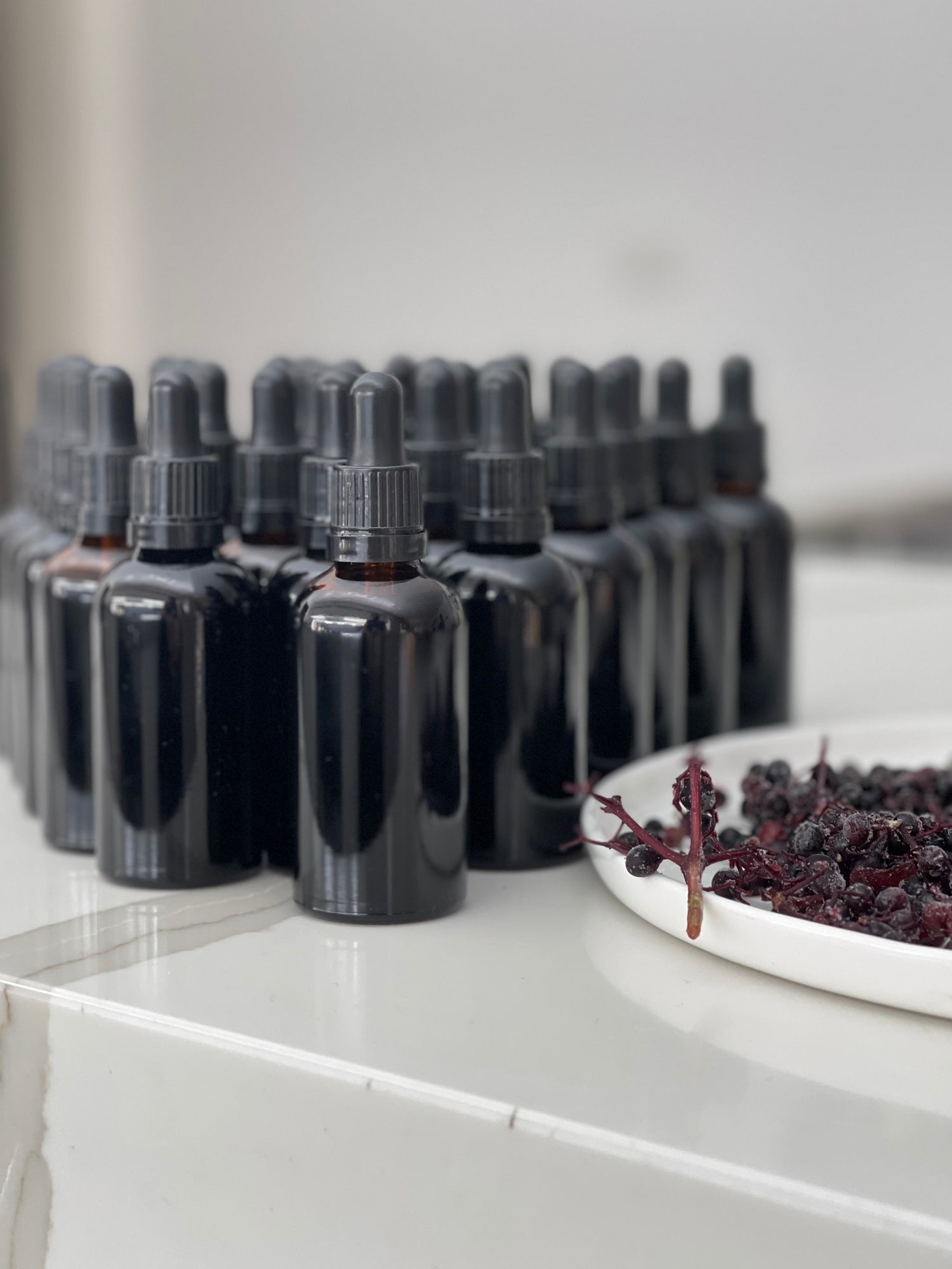 Elderberry Tincture